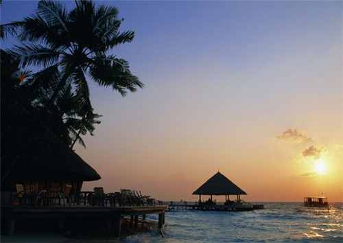 石尚佳石锅拌饭