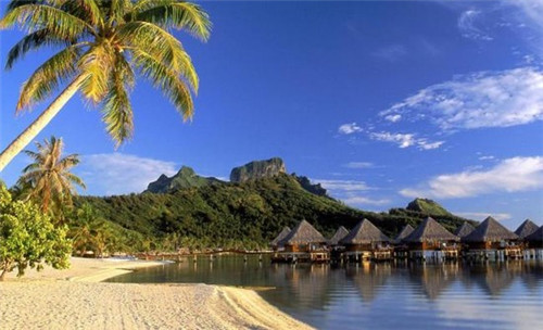 2025帆布鞋加盟店什么品牌好