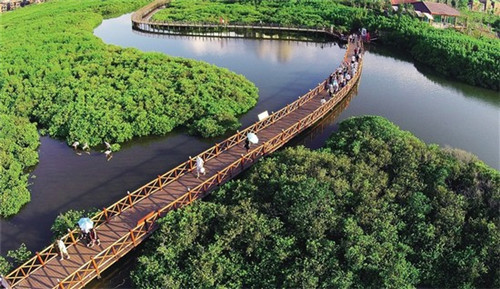 女装店创业好干吗