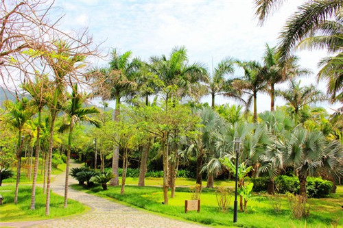 加盟爽爽糖水前景怎么样