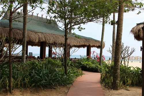 手游韭菜是什么意思（韭菜试玩）