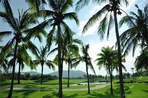 茶岩灰可以改磨砂灰吗（茶灰色怎么做）