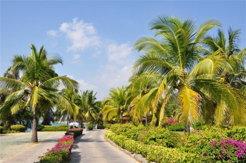 定西市开店创业沉香手串加盟店排行榜前十名比较火的