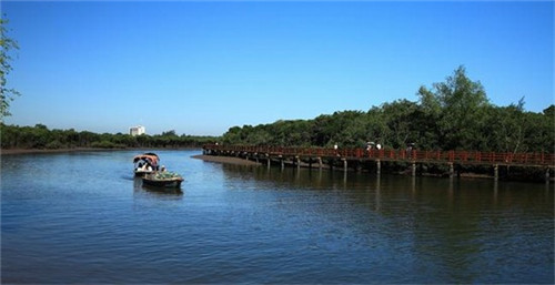 过年普宁有什么旅游景点（普宁比较有特色的旅游景点）